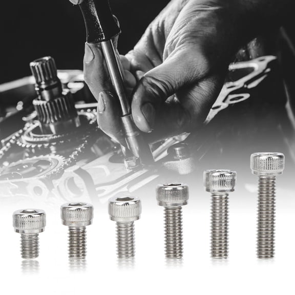 60Pcs M6 Cap Hex Socket Screw Set, Stainless Steel 304 Electronics Hardware Fasteners