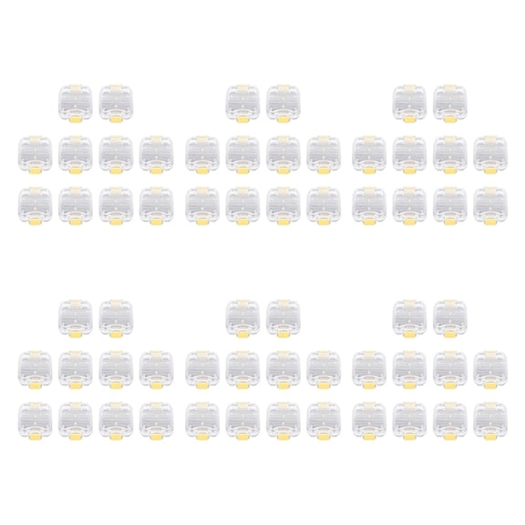 60Pcs Plastic Denture Tooth Box with Film High Quality Denture Storage Box Dental Implant Membrane Tooth Box