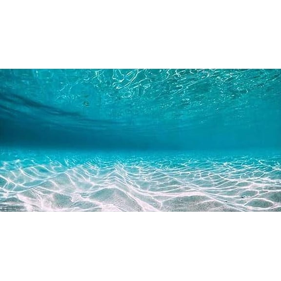 60X24IN, Natural Undersea Aquarium Background, Undersea Beach Fish Tank Background, with 8 EVA Double-Sided Tape