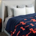 thumbnail image 1 of Illinois NCAA Pendant Silk Touch Throw, 60x90 inches, 1 of 3