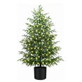 thumbnail image 1 of 60cm Illuminated Potted Christmas Tree for Indoor and Outdoor Porch with Festive Holiday Lighting, 1 of 5