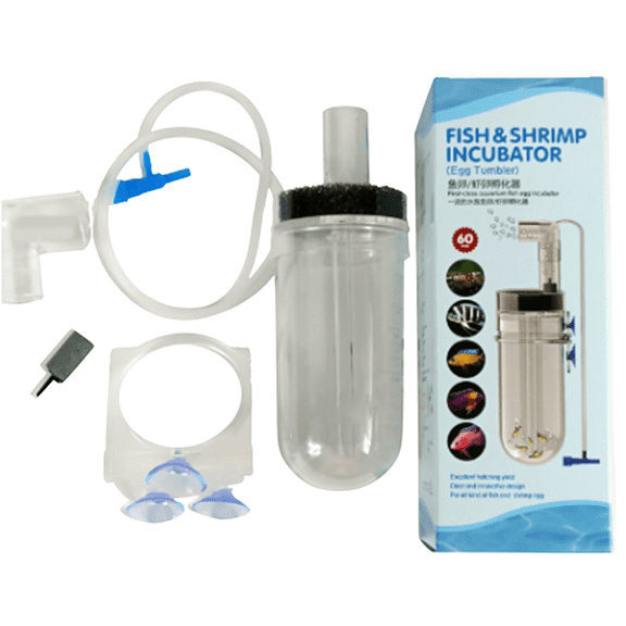 60mm Fish Breeding Box for Hatchery and Isolation Easy Feeding Access for Aquariums Breeding Box