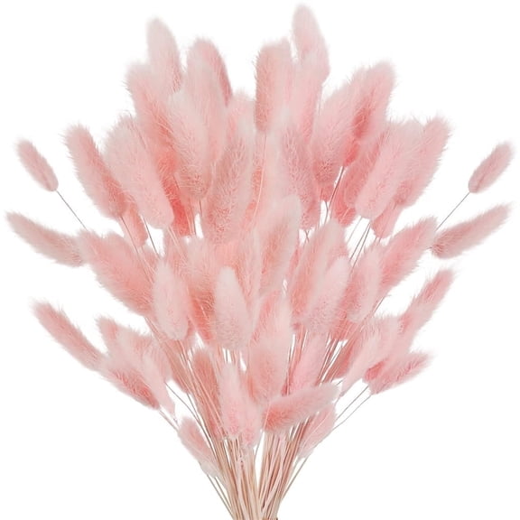 60pcs Dried Rabbit Tails,NOGIS Pink Bunny Tails, Natural Bulk Dried Flowers for DIY Boho Wedding Rustic Party Decorations, Garlands, Cake Decorations (Pink)