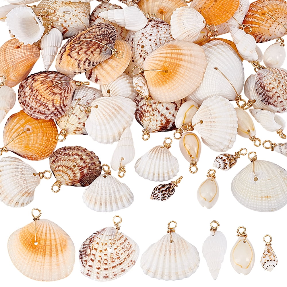 Shell Real Charms 60pcs Natural Shell Charms Ocean Beach Seashells Charms 6 Styles Conch ...