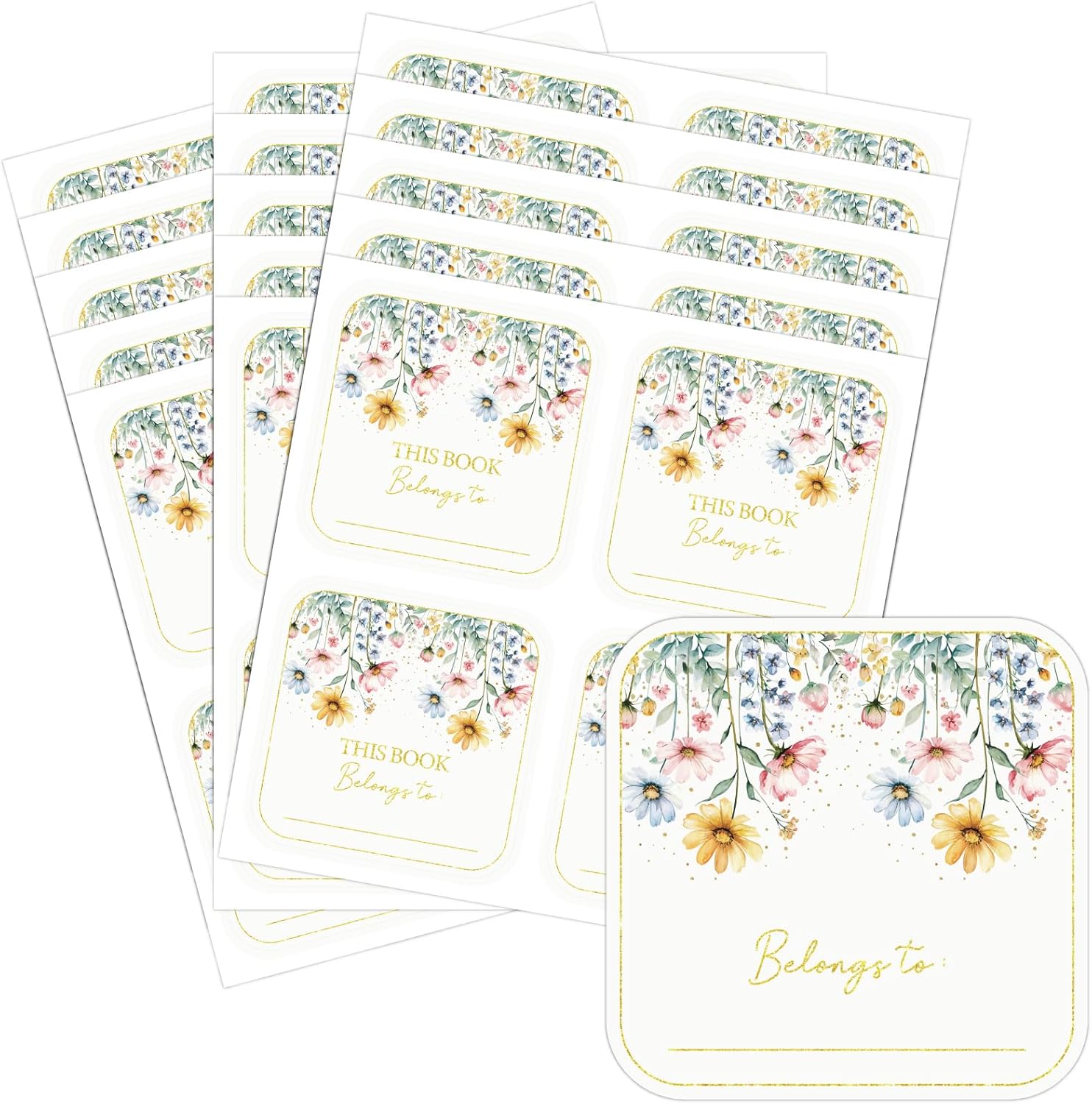 60pcs This Book Belongs to Stickers Book Plates Labels 2 x 2 Inch ...