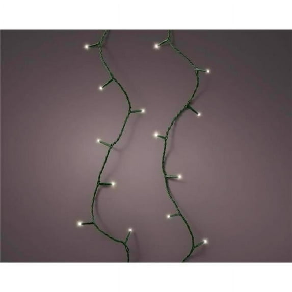 61.35 ft. Gold LED Clear & Warm White Christmas Lights - 250 Count