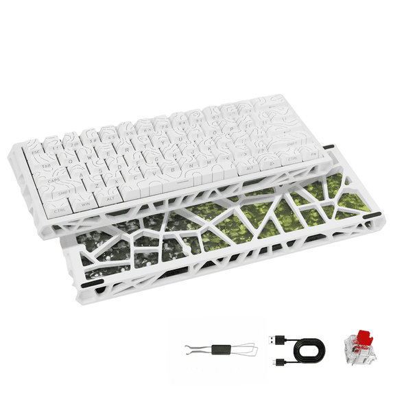 61 Keys Mechanical Keyboard, 60% Layout, Hollow Shell in 6 Colors, RGB Backlit, Full N-Key Rollover, Hot-Swappable Linear Red Switch, Backlit PBT Keycaps