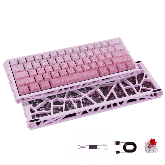 61 Keys Mechanical Keyboard, 60% Layout, Hollow Shell in 6 Colors, RGB Backlit, Full N-Key Rollover, Hot-Swappable Linear Red Switch, Backlit PBT Keycaps