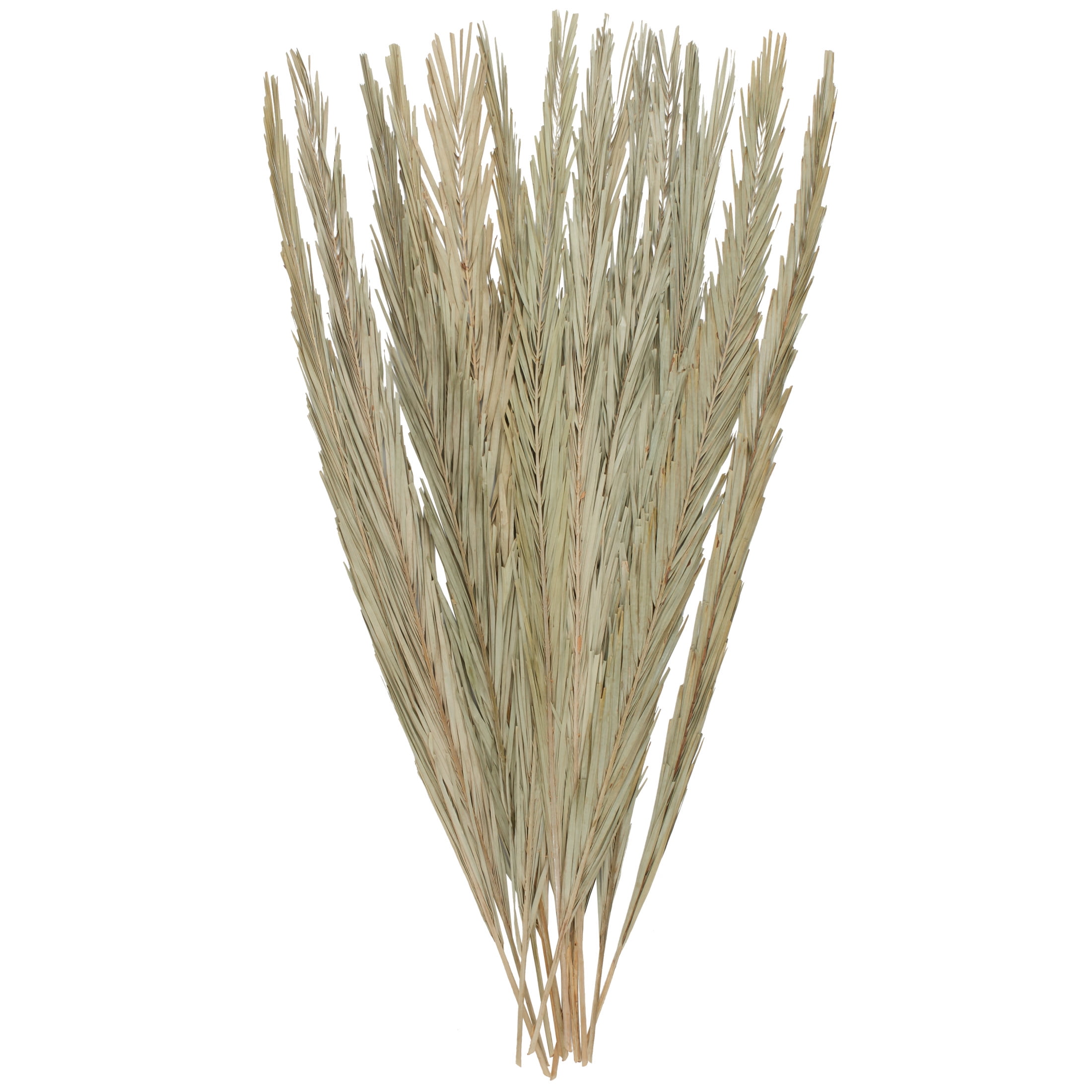 61" Tall Palm Leaf Natural Foliage Bouquet with Grass, by DecMode
