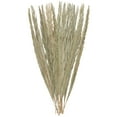 thumbnail image 1 of 61" Tall Palm Leaf Natural Foliage Bouquet with Grass, by DecMode, 1 of 9
