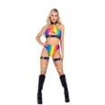 thumbnail image 1 of 6139 - Rainbow High-Waisted Shorts, 1 of 3