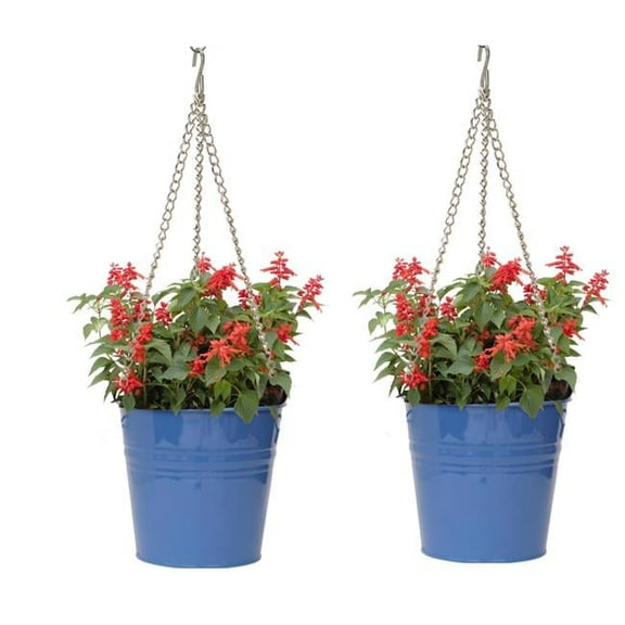 6151E B S-2 Enameled Galvanized Steel Hanging Planter - Blue - Set of 2 - Durable Design