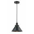 thumbnail image 1 of 616-1PH-BK-M10-BK-LED-Innovations Lighting-Briarcliff - 3.5W 1 LED Mini Pendant In Traditional Style-8.88 Inches Tall and 10 Inches Wide Matte Black, 1 of 1