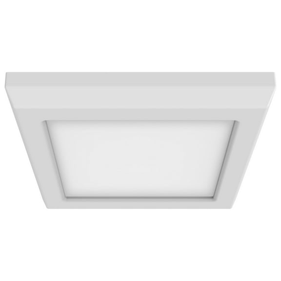 Blink Pro - Light White Utilitarian Aluminum Flush Mount Light