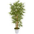 thumbnail image 1 of 62" Bamboo Artificial Tree in Tin Bucket, 1 of 2