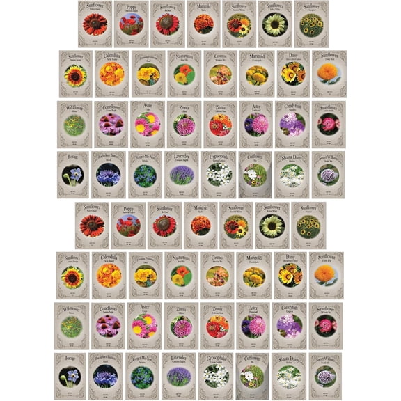 62 Pack Assorted Heirloom Flower Seed Packets Non-GMO Variety Mix USA Sourced