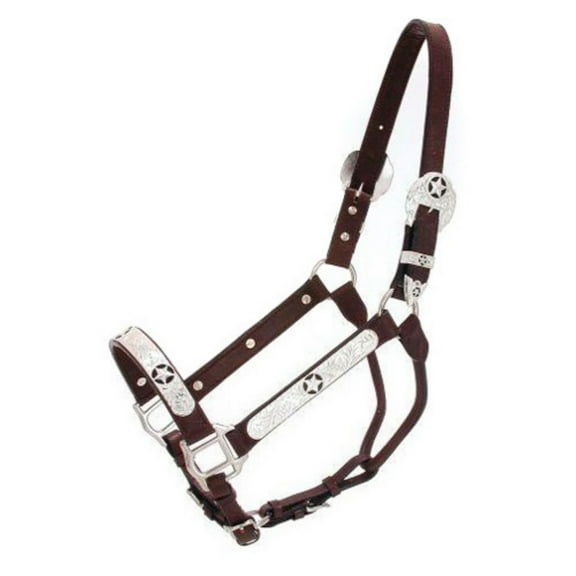 62JT Royal King Star Silver Show Halter