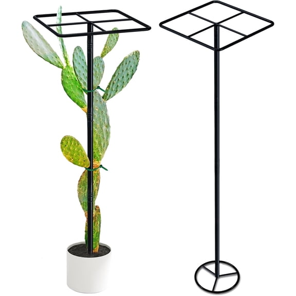 63'' Metal Dragon Fruit Trellis, Adjust Durable Dragon Fruit Plant Trellis Support Garden Fruit Stand for Vertical Climbing Plants Trees Cactus Roses Vines Outdoor Indoor,1 Pcs
