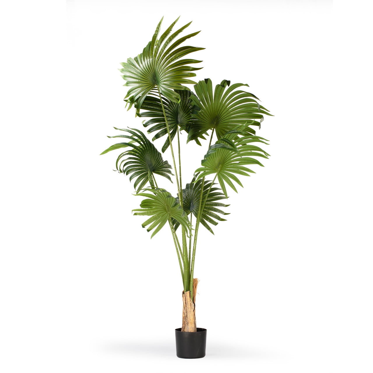 63" Tall Green Artificial Palm Tree in Black Plastic Pot