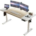 63 x 30 Inches Electric Standing Desk, Height Adjustable Stand Up Table