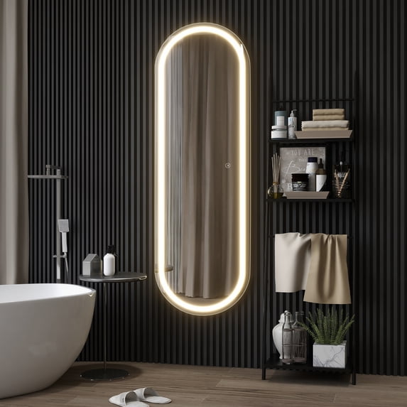 63"x20" Modern Aluminum Alloy Frame Pill Shape LED Floor Mirror Full Length Mirror,Silver