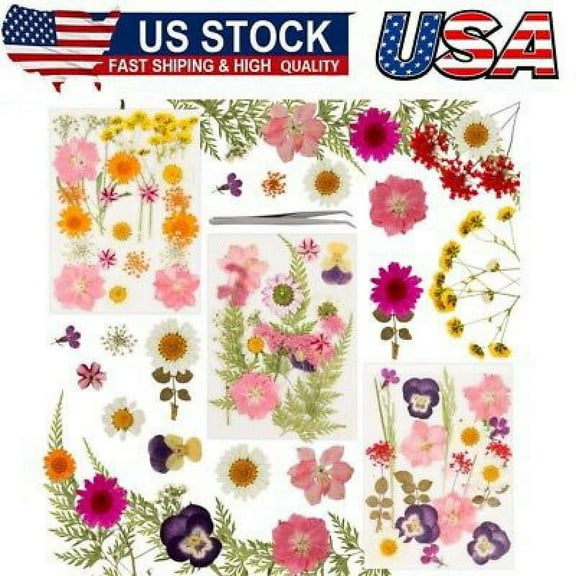 63pcs Dried Flowers,Natural Pressed Flowers,DIY Dried Flowers,Mixed Dried Leaves