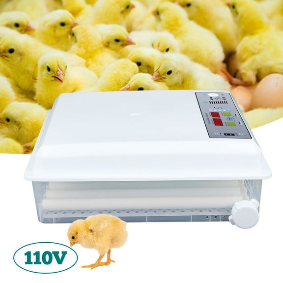 64 Eggs Incubator Digital Automatic Turning Hatcher Chicken Farm Hatching Eggs 110V 80W 16.7*19.3*7in for Farmers And Homes