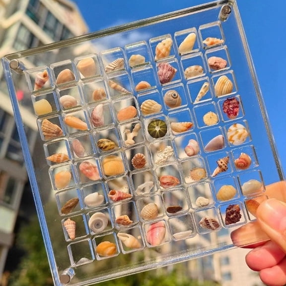 64 Grids Acrylic Magnetic Seashell Display Box, Clear Sea Shell Holder Display, Seashell Display Case with Grid, Beach Magnet Storage Organizer Case, for Beach Shells, Crystals