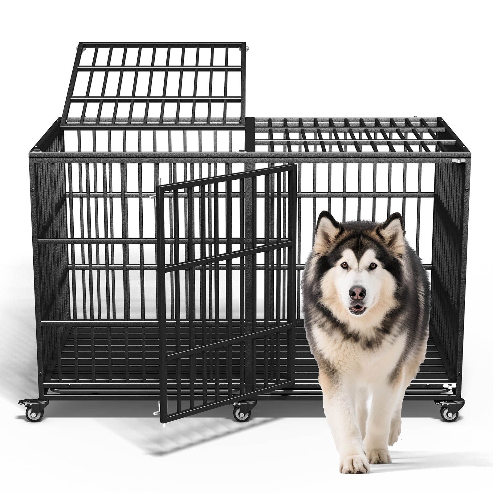  CANIN ベンガル 2kg×2 AESOROMO, 64 Inch Heavy Duty Dog Crate Indestructible Double Door