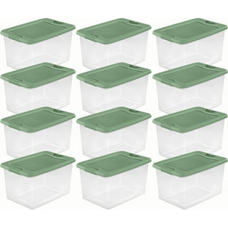 https://i5.walmartimages.com/seo/64-Quart-Latching-Hinged-See-Through-Plastic-Stacking-Storage-Container-Tote-with-Recessed-Lids-for-Home-Organization-Crisp-Green-12-Pack_a5d069e7-fc3c-48c9-ae6d-68a9687da9ee.7b52e21b7414e0f0e6e2ec6e8fc24b30.jpeg?odnHeight=320&odnWidth=320&odnBg=FFFFFF