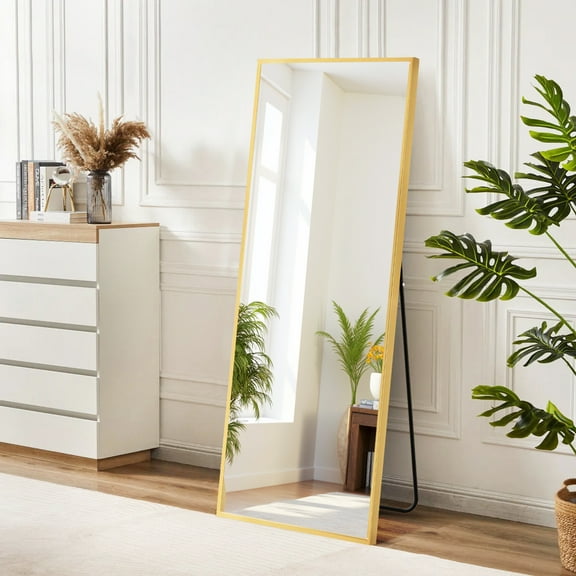 64"x21" Full Length Mirror Standing Rectangle Floor Mirrors Body Dressing Wall-Mounted Mirror, Gold