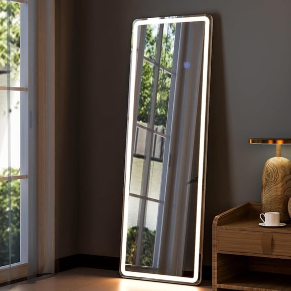 64"x21" Full Length Mirror with LED Lights 3 Color Lighting for Dressing Room