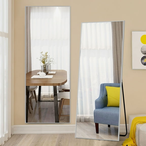 64"x22" Full Length Mirror Floor Mirror,Sliver