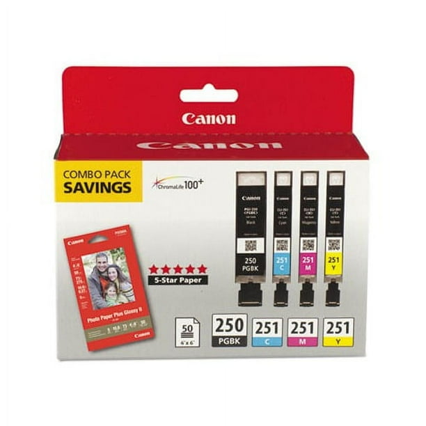 Pgi 250 Cli 251 4 Color Combo Ink Pack business.walmart.com
