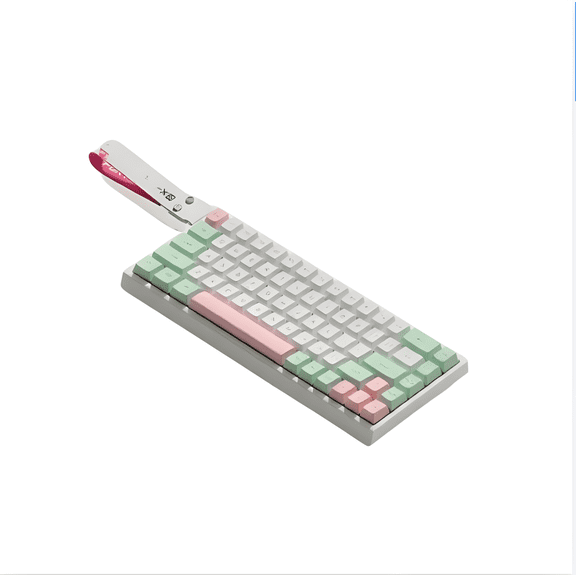 65% Compact Wired Mechanical Keyboard,ABS Matte Shell,Ergonomic,RGB Light,Detachable Strap