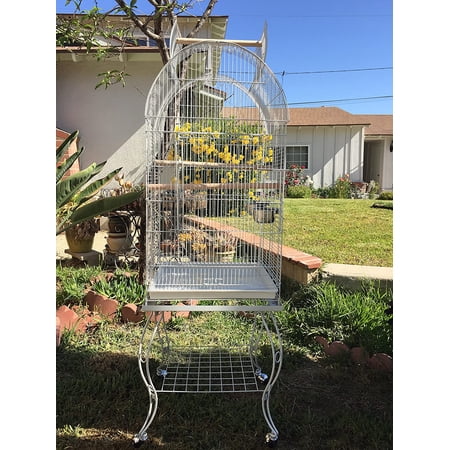 65-Inch LARGE Open Dome Play-Top Bird Parrot Perch Stand Cage with Removable Rolling Standing for Cockatiels Sun Conures Parakeets Conures Quaker Green Cheek