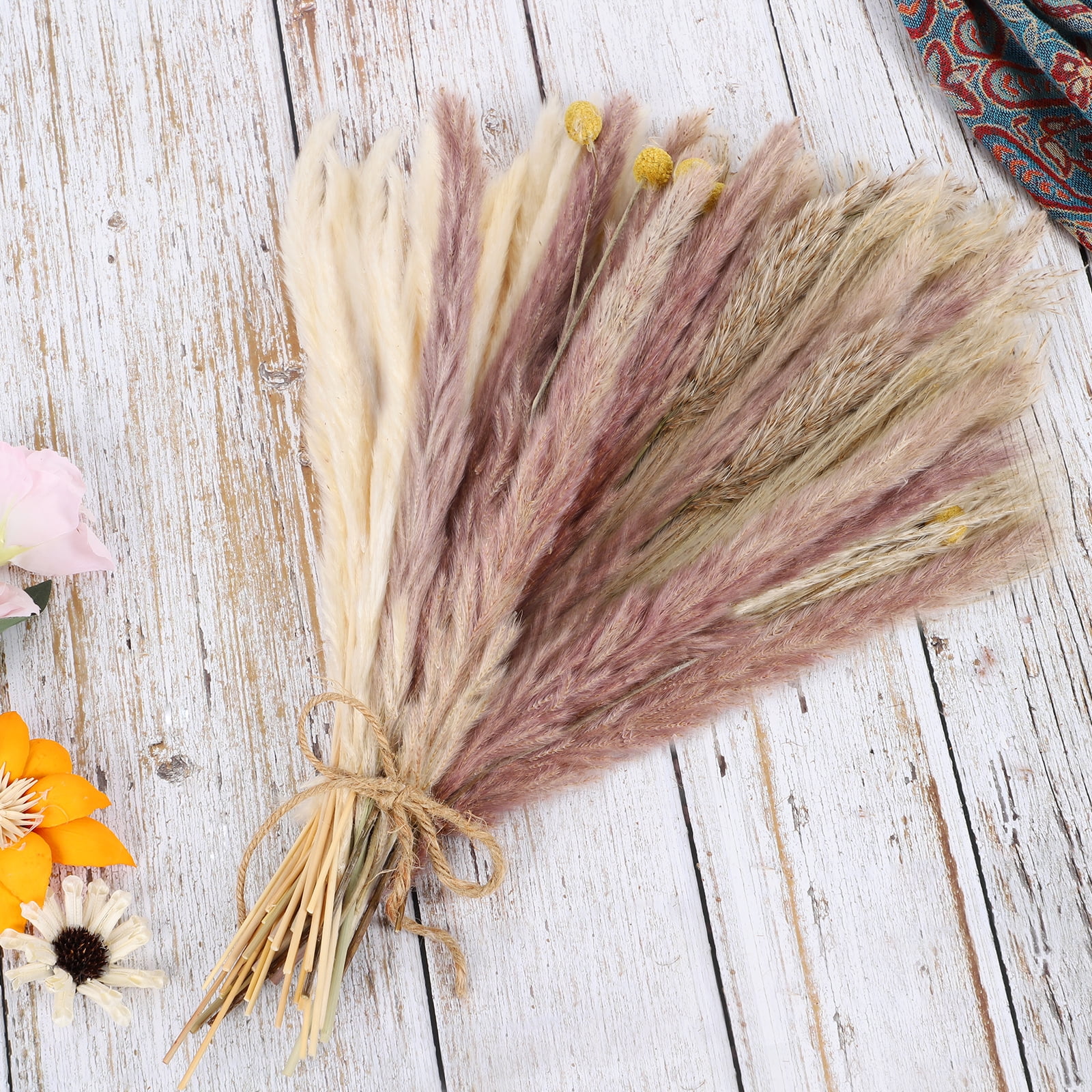 65 Pcs Natural Dried Plants Pampas Grass, 30Pcs Reed Grass, 20Pcs White Pampas, 10Pcs Brown Pampas & 5Pcs Billy Balls