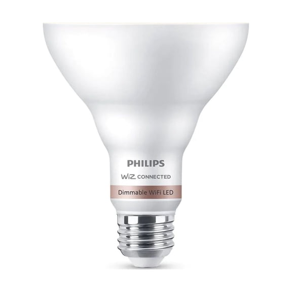 65W SMART BULB FLOOD