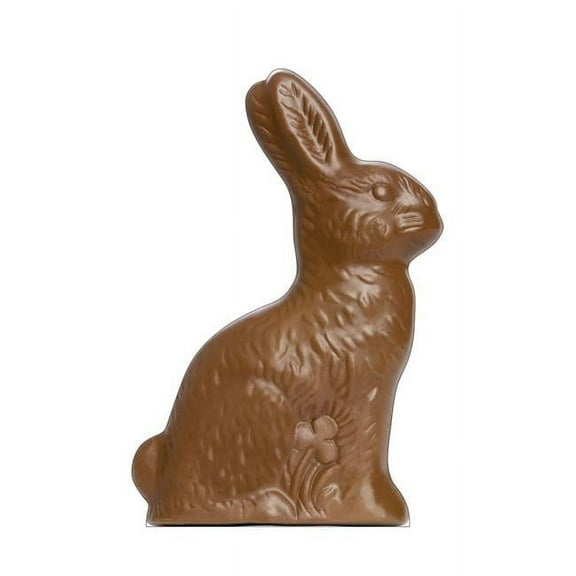 65 x 44 in. Chocolate Easter Bunny Cardboard Cutout Standup