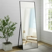65x22 Aluminum Alloy Rectangle Full Length Mirror Floor Mirror with Stand Elegant Black