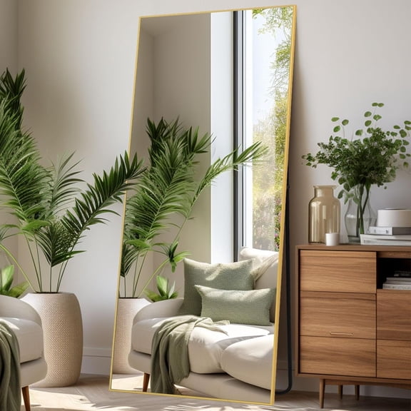 65"x24" Full Length Mirror Standing Rectangle Floor Mirrors Body Dressing Wall-Mounted Mirror, Gold
