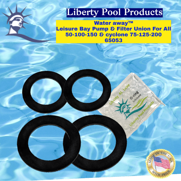 65051 WATERWAY/LEISURE BAY 48 FRAME PUMP