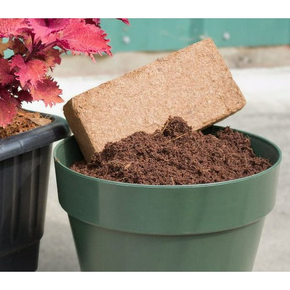 650g Coir Block (5 Pack)
