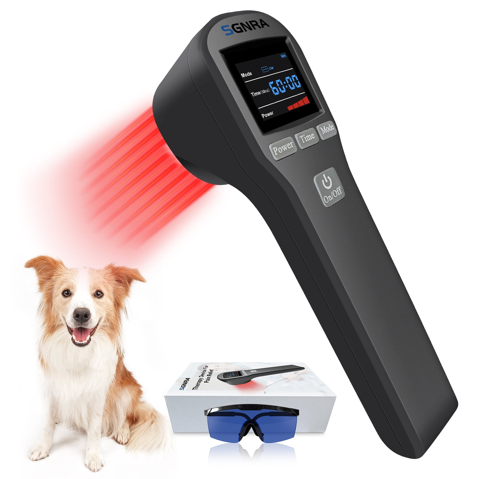Cold laser therapy for dogs cost sale
