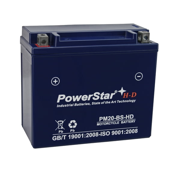 65991-82B Twin Power 485004 YTX20-BS Battery Replacement
