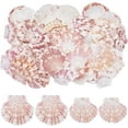 thumbnail image 1 of 65Pcs 2 Styles Scallop Natural Shell Seashell 2.4"-2.8" Colorful Beach Natural Seashells Decor Large Scallop Shells DIY Crafts for Beaching Wedding Home Decor DIY Painting Candle Making DIY, 1 of 5