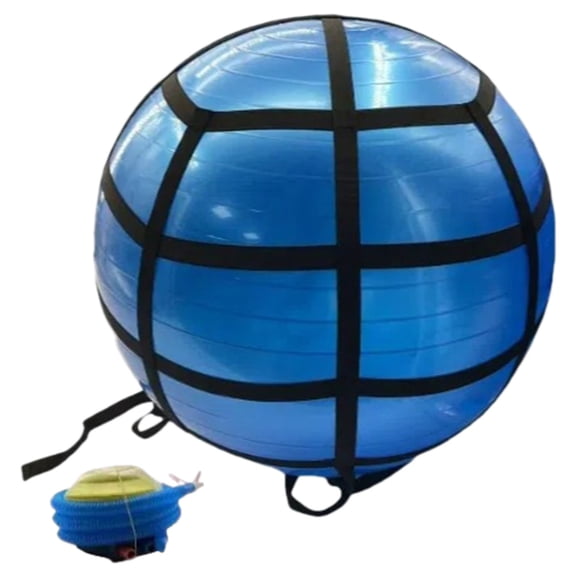 65cm Yoga Ball Set with Storage Net and Pump for Home Flexibility Blue