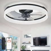 Depuley 20 Black Flush Mount Ceiling Fan with Light - Low Profile, App & Remote Control, 6-Speed Quiet DC Motor, Dimmable LED for Bedroom
