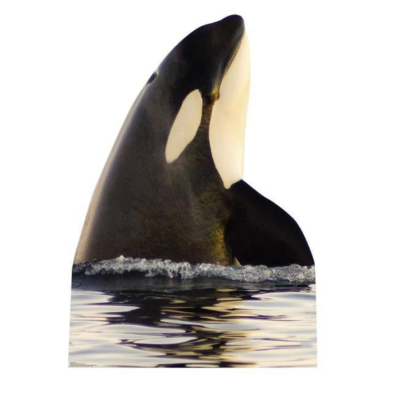 Life-Size Killer Whale Black and White Cardboard Standup