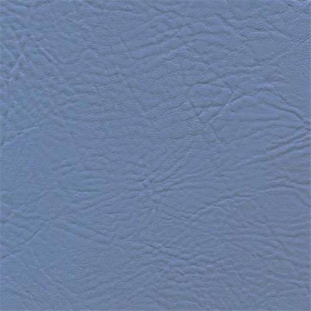 6647 100 Percent Polyvinyl Chloride Fabric, Tiara Blue